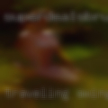 Traveling swingers personals
